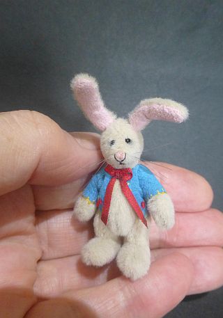 MR.NIBS